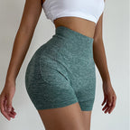 Seamless High-Rise Sculpting Shorts